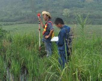 �y�L����