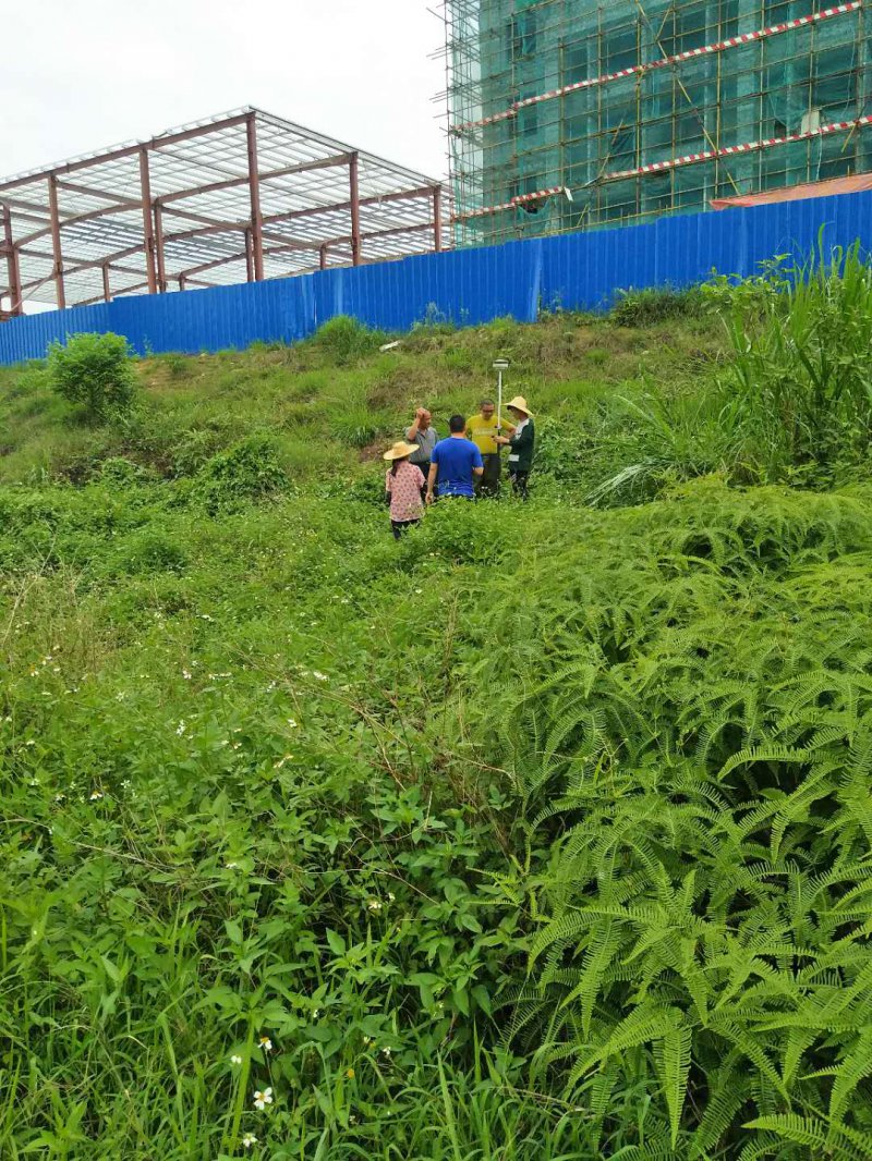 ������Ϣ