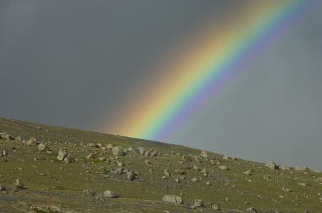 ������Ϣ