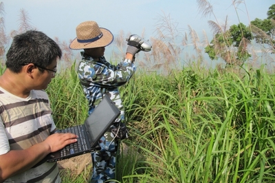 �������Μy��