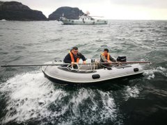 ����y(c��)�L����Ҫ��(n��i)�ݺ����c(di��n)��ʲô