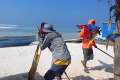 �y(c��)���y(c��)�L�Y�|(zh��)�k����Ҋ(ji��n)��(w��n)�}���ϼ�